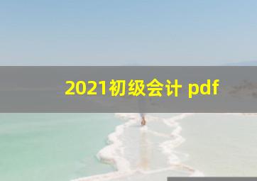 2021初级会计 pdf